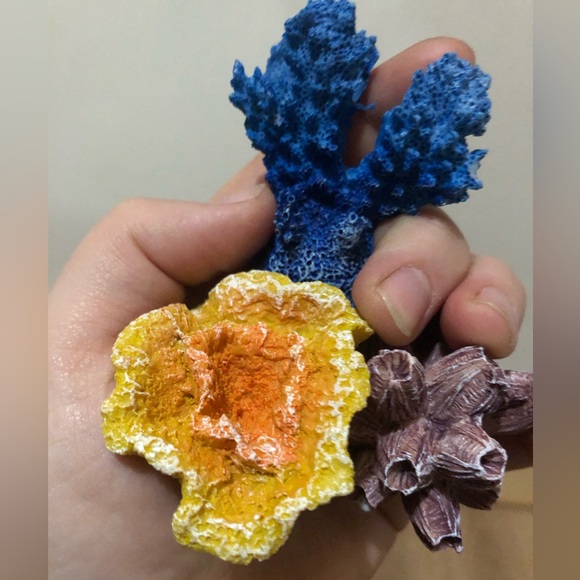 3pk Fish Decorations - Picture 4 of 4